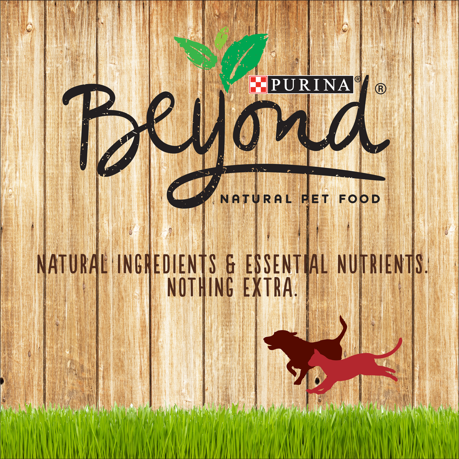 FLAME%26SMOKE_BUTTON